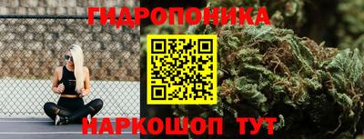 ALPHA PVP Малгобек