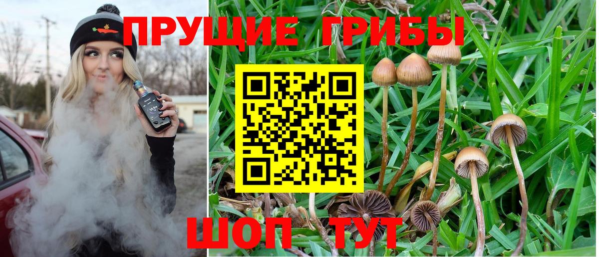 Выкса  Галлюциногенные грибы GOLDEN TEACHER  Вход с VPN 